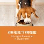 Simply Nourish? Source Adult Dry Dog Food - Beef - Image 3