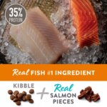 Simply Nourish? Source Adult Dry Dog Food - Salmon, High-Protein, Grain Free - Image 2