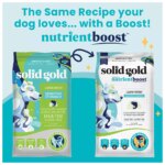Solid Gold Nutrientboost Leaping Waters All Life Stage Dry Dog Food - Salmon - Image 2