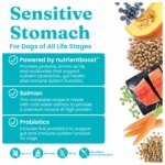 Solid Gold Nutrientboost Leaping Waters All Life Stage Dry Dog Food - Salmon - Image 5