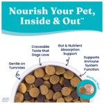 Solid Gold Nutrientboost Leaping Waters All Life Stage Dry Dog Food - Salmon - Image 6