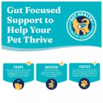 Solid Gold Nutrientboost Leaping Waters All Life Stage Dry Dog Food - Salmon - Image 7