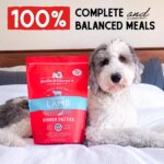 Stella & Chewy's Freeze-Dried Raw Dinner Patties All Life Stages Dry Dog Food - Dandy Lamb - Image 3