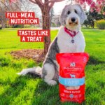 Stella & Chewy's Freeze-Dried Raw Dinner Patties All Life Stages Dry Dog Food - Dandy Lamb - Image 7
