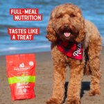 Stella & Chewy's Freeze-Dried Raw Dinner Patties All Life Stages Dry Dog Food - Duck - Image 7