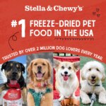 Stella & Chewy's Freeze-Dried Raw Dinner Patties All Life Stages Dry Dog Food - Super Beef - Image 2