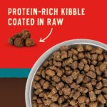 Stella & Chewy's Wild Red Raw Coated All Life Stages Dry Dog Food - Grain & Legume Free, Ocean - Image 2