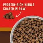 Stella & Chewy's Wild Red Raw Coated All Life Stages Dry Dog Food - Grain & Legume Free, Prairie - Image 2