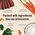 The Honest Kitchen Grain Free Clusters Adult Dog Dry Food - Beef - Image 3