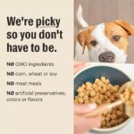 The Honest Kitchen Grain Free Clusters Adult Dog Dry Food - Chicken - Image 6