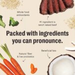 The Honest Kitchen Whole Grain Clusters Adult Dog Dry Food - Beef & Oat - Image 3