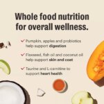 The Honest Kitchen Whole Grain Clusters Adult Dog Dry Food - Beef & Oat - Image 5