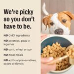 The Honest Kitchen Whole Grain Clusters Puppy Dry Dog Food - Chicken & Oat - Image 6