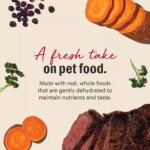 The Honest Kitchen Wholemade Grain Free Adult Dehydrated Dog Food - Beef - Image 3