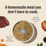 The Honest Kitchen Wholemade Grain Free Adult Dehydrated Dog Food - Beef - Image 4