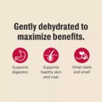 The Honest Kitchen Wholemade Grain Free Adult Dehydrated Dog Food - Beef - Image 6