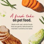 The Honest Kitchen Wholemade Grain Free Adult Dehydrated Dog Food - Chicken - Image 3