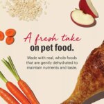 The Honest Kitchen Wholemade Whole Grain Adult Dehydrated Dog Food - Turkey - Image 3