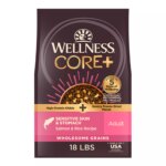 Wellness CORE+ Sensitive Skin & Stomach Adult Dry Dog Food - Salmon & Rice