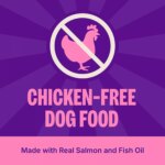 Wellness CORE+ Sensitive Skin & Stomach Adult Dry Dog Food - Salmon & Rice - Image 3