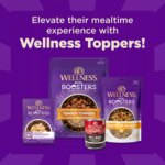 Wellness CORE+ Sensitive Skin & Stomach Adult Dry Dog Food - Salmon & Rice - Image 7