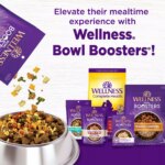 Wellness Complete Health Adult Dry Dog Food - Chicken & Oatmeal - Image 7