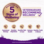 Wellness Complete Health Adult Dry Dog Food - Lamb & Barley - Image 4