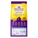 Wellness Complete Health Adult Dry Dog Food - Whitefish & Sweet Potato - Image 3