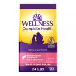 Wellness Complete Health Sensitive Skin & Stomach Adult Dry Dog Food - Salmon & Rice