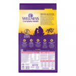 Wellness Complete Health Sensitive Skin & Stomach Adult Dry Dog Food - Salmon & Rice - Image 2