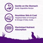 Wellness Complete Health Sensitive Skin & Stomach Adult Dry Dog Food - Salmon & Rice - Image 5