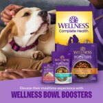 Wellness Complete Health Sensitive Skin & Stomach Adult Dry Dog Food - Salmon & Rice - Image 7