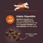 Wellness Core Digestive Health Adult Dry Dog Food - With-Grain, Chicken & Brown Rice - Image 6