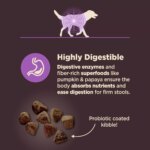 Wellness Core Digestive Health Senior Dry Dog Food - Hip & Joint, Chicken - Image 6