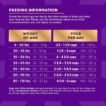 Wellness Core+ High Protein Kibble + Savory Freeze-Dried Pieces - Beef & Barley, Wholesome Grains - Image 7