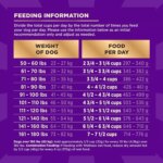 Wellness Core+ Large Breed Adult Dog Food - Original, Wholesome Grains - Image 7