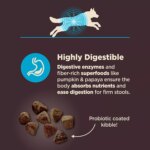 Wellness(r) CORE(r) Digestive Health Adult Dry Dog Food - With-Grain, Whitefish & Brown Rice - Image 6