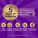 Wellness? CORE+ Adult Dry Dog Food - Grain Free, Ocean - Image 3