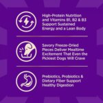 Wellness? CORE+ Adult Dry Dog Food - Grain Free, Ocean - Image 5