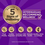 Wellness? CORE+ Small Breed Adult Dry Dog Food - Grain Free, Freeze Dried, Turkey - Image 3