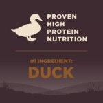 Wellness? CORE? Adult Dry Dog Food - Natural, Grain Free, Wild Game Formula - Image 5