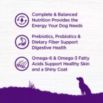 Wellness? Complete Health Adult Dry Dog Food - Beef & Barley - Image 4