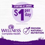 Wellness? Complete Health Large Breed Adult Dog Food - Natural - Image 6