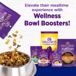 Wellness? Complete Health Large Breed Adult Dog Food - Natural - Image 7