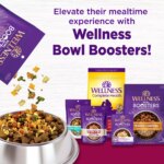 Wellness? Complete Health Small Breed Adult Dry Dog Food - Natural - Image 7